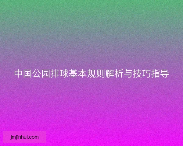 中国公园排球基本规则解析与技巧指导
